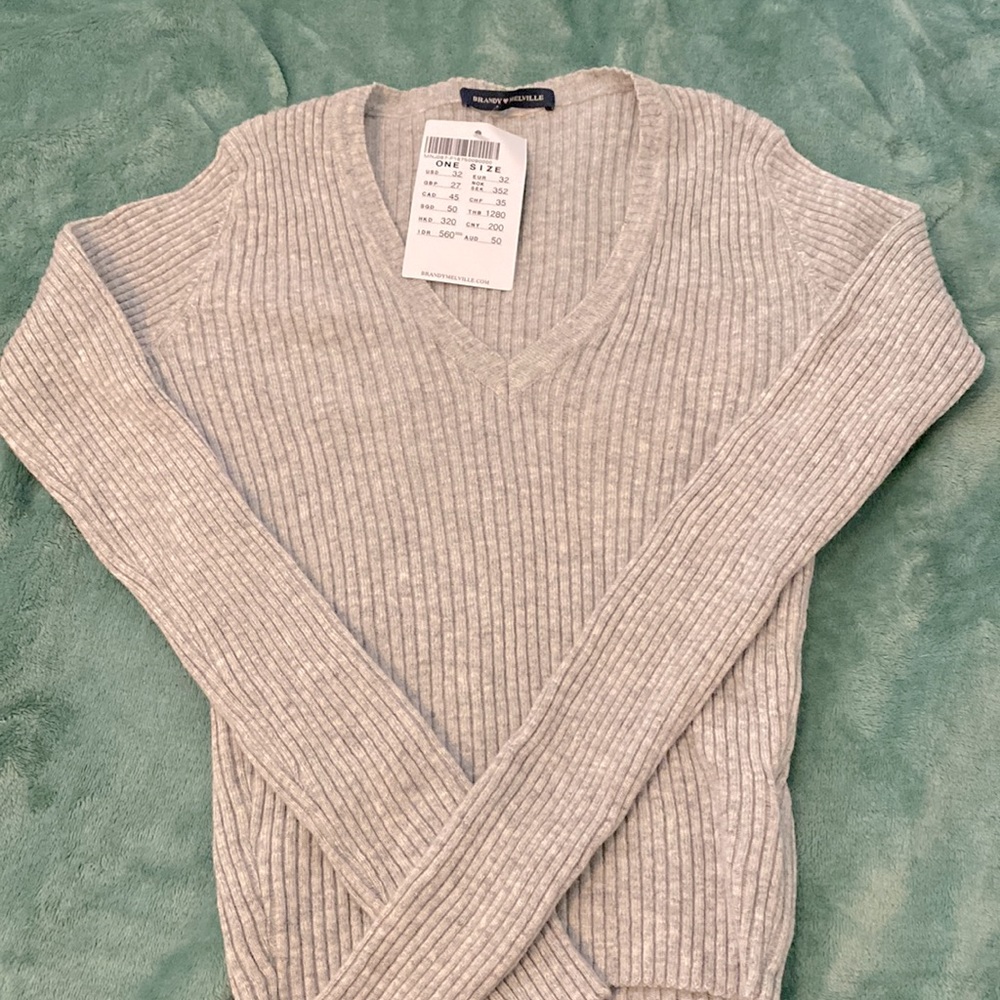 nwt rare brandy sweater